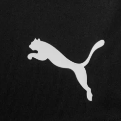 PUMA Fußball Shorts TeamGOAL 23 - Schwarz -HEXA KLEIDUNG SHOP 0b76f5129114