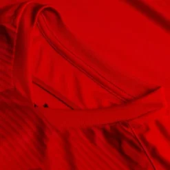 PUMA Trikot TeamFINAL 21 Graphic - Rot/Rot Kinder -HEXA KLEIDUNG SHOP 14c4943d6c7e