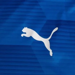 PUMA Trikot TeamFINAL 21 Graphic - Blau/Blau -HEXA KLEIDUNG SHOP 17642cca95e3