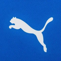 PUMA Trikot TeamRISE - Blau/Schwarz/Weiß -HEXA KLEIDUNG SHOP 1f541f099ea1