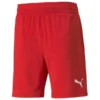 PUMA Shorts TeamFINAL - Rot