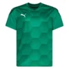PUMA Trikot TeamFINAL 21 Graphic - Grün/Grün Kinder