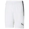 Puma TeamLIGA Fußballshorts 2 Puma TeamLIGA Fußballshorts -HEXA KLEIDUNG SHOP 33cf1023bee7