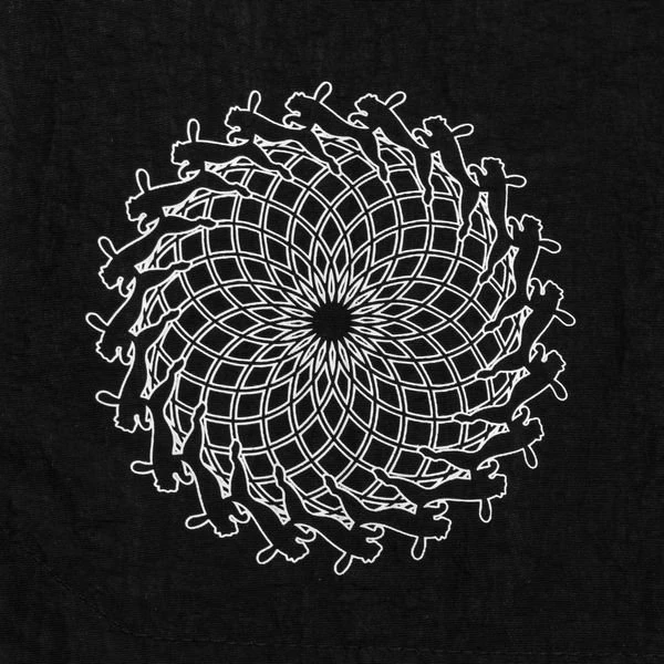 PUMA FUßBALL KING Shorts 4 PUMA FUßBALL KING Shorts – Bild 2