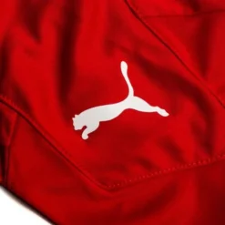 PUMA Trikot TeamFINAL 21 Graphic - Rot/Rot Kinder -HEXA KLEIDUNG SHOP 3fc85c68b9df