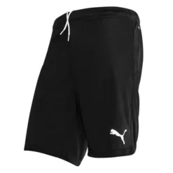 PUMA Fußball Shorts TeamGOAL 23 - Schwarz