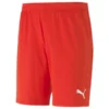 PUMA Fußball Shorts TeamGOAL 23 - Rot
