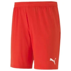 PUMA Fußball Shorts TeamGOAL 23 - Rot