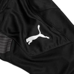 PUMA Trikot TeamFINAL 21 Graphic - Schwarz/Asphalt Kinder -HEXA KLEIDUNG SHOP 573a6f6be84e