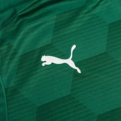 PUMA Trikot TeamFINAL 21 Graphic - Grün/Grün -HEXA KLEIDUNG SHOP 631cb3666c0a