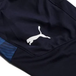 PUMA Trikot TeamFINAL 21 Graphic - Navy/Blau -HEXA KLEIDUNG SHOP 6397f5d6281f