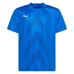PUMA Trikot TeamGLORY - Blau/Weiß Kinder