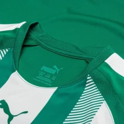 PUMA Trikot TeamLIGA - Grün/Weiß Kinder -HEXA KLEIDUNG SHOP 6f50263a7f13