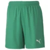 PUMA Fußball Shorts TeamGOAL 23 - Grün Kinder