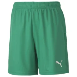 PUMA Fußball Shorts TeamGOAL 23 - Grün Kinder