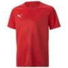 PUMA Trikot TeamGLORY - Rot/Weiß Kinder -HEXA KLEIDUNG SHOP 786b2bb1c360