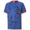 PUMA T-Shirt Graphic Batman Collection - Blau Kinder LIMITED EDITION -HEXA KLEIDUNG SHOP 88976ce6bb5a