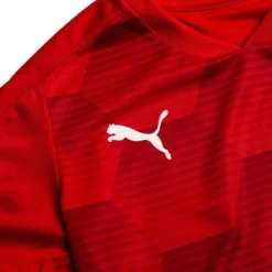 PUMA Trikot TeamFINAL 21 Graphic - Rot/Rot Kinder -HEXA KLEIDUNG SHOP 91a80025a299