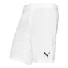 PUMA Fußball Shorts TeamGOAL 23 - Weiß