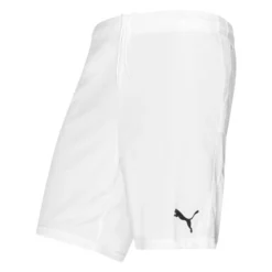 PUMA Fußball Shorts TeamGOAL 23 - Weiß