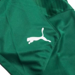 PUMA Trikot TeamFINAL 21 Graphic - Grün/Grün -HEXA KLEIDUNG SHOP ac13ce474954