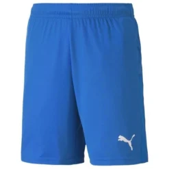 PUMA TeamGOAL Knit Shorts - Blau/Weiß Kinder
