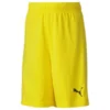 PUMA Fußball Shorts TeamGOAL 23 - Gelb Kinder