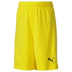 PUMA Fußball Shorts TeamGOAL 23 - Gelb Kinder