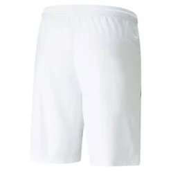 Puma TeamLIGA Fußballshorts 5 Puma TeamLIGA Fußballshorts -HEXA KLEIDUNG SHOP d9e2ded3efbc
