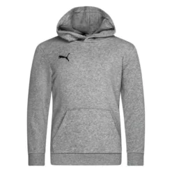 PUMA Hoodie TeamGOAL 23 Casuals - Grau/Schwarz Kinder