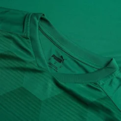 PUMA Trikot TeamFINAL 21 Graphic - Grün/Grün -HEXA KLEIDUNG SHOP e716636a2a23