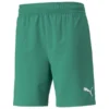 PUMA Shorts TeamFINAL - Grün -HEXA KLEIDUNG SHOP ea27baf506f1