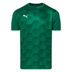 PUMA Trikot TeamFINAL 21 Graphic - Grün/Grün