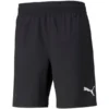 PUMA Shorts TeamFINAL - Schwarz