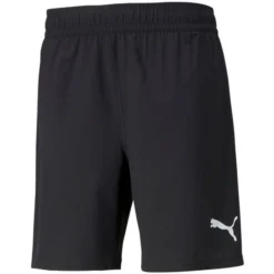PUMA Shorts TeamFINAL - Schwarz