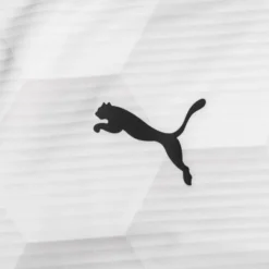 PUMA Trikot TeamFINAL 21 Graphic - Weiß/Grau -HEXA KLEIDUNG SHOP f65319d67ef3