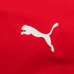 PUMA Training T-Shirt TeamFINAL - Rot -HEXA KLEIDUNG SHOP f6e4d2390271