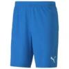PUMA Fußball Shorts TeamGOAL 23 - Blau -HEXA KLEIDUNG SHOP f728b60e0eac