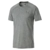 PUMA Evostripe Move Tee Herren T-shirt Sportswear 854071 03 Grau -HEXA KLEIDUNG SHOP 752af108a4d4ab6aa381e9b881efdcf8