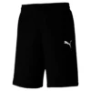 PUMA Herren TeamGOAL 23 Casuals Shorts Trainingshose 656581 Schwarz -HEXA KLEIDUNG SHOP ad1c476eff883a07de6d1da266008f1e