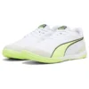 IBERO IV PUMA White-Speed Green-PUMA Silver